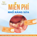Nhổ Răng Sữa : Khi Nào Cần Nhổ Và Những Điều Cần Biết z6309748007626_b0fb210c5af0b087bfaf41c3a0236852